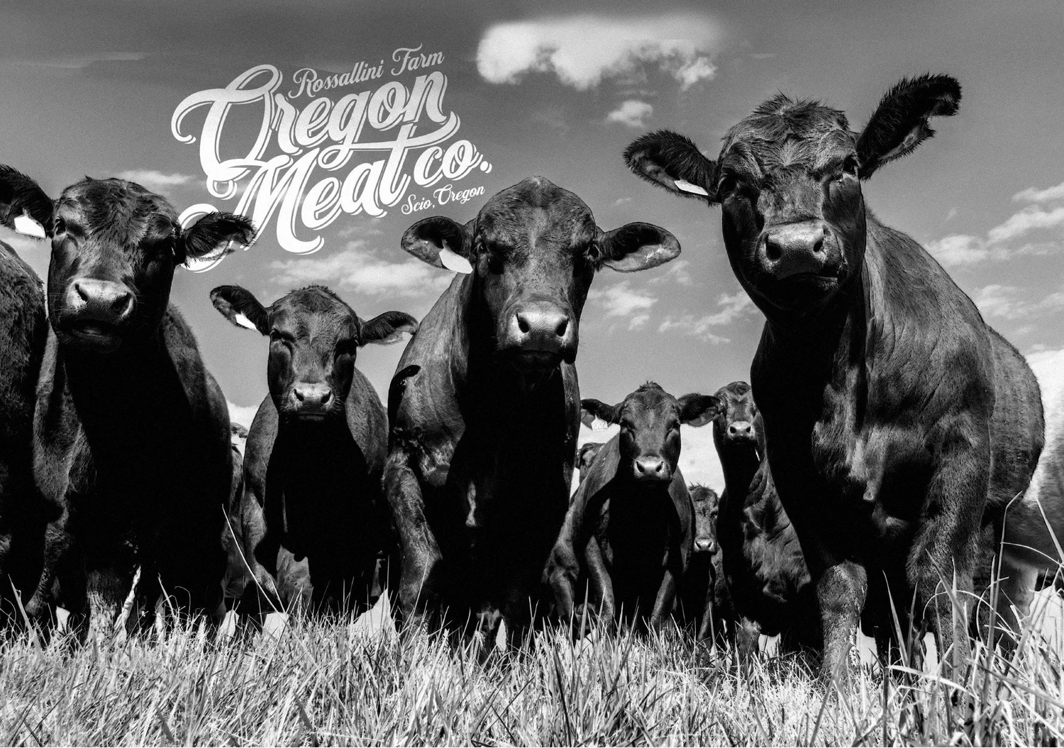 Brand context / On the farm
