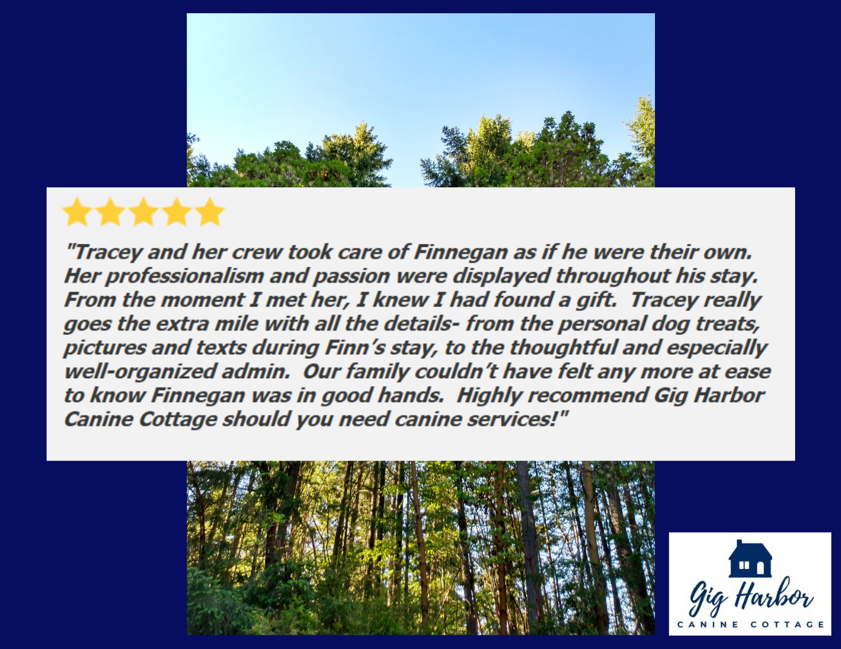 5 Star Review - Finnegan (Lisa) - Goldendoodle.png