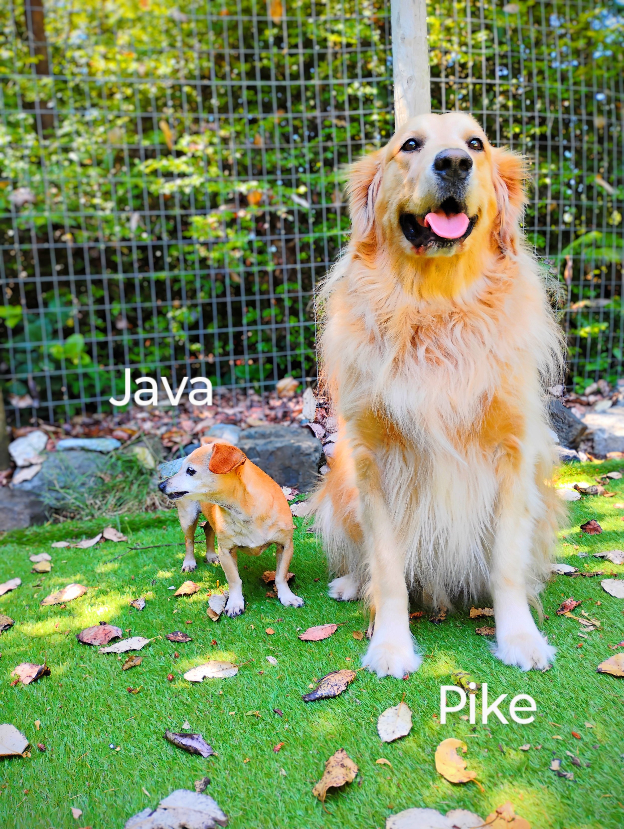 Java & Pike Hill