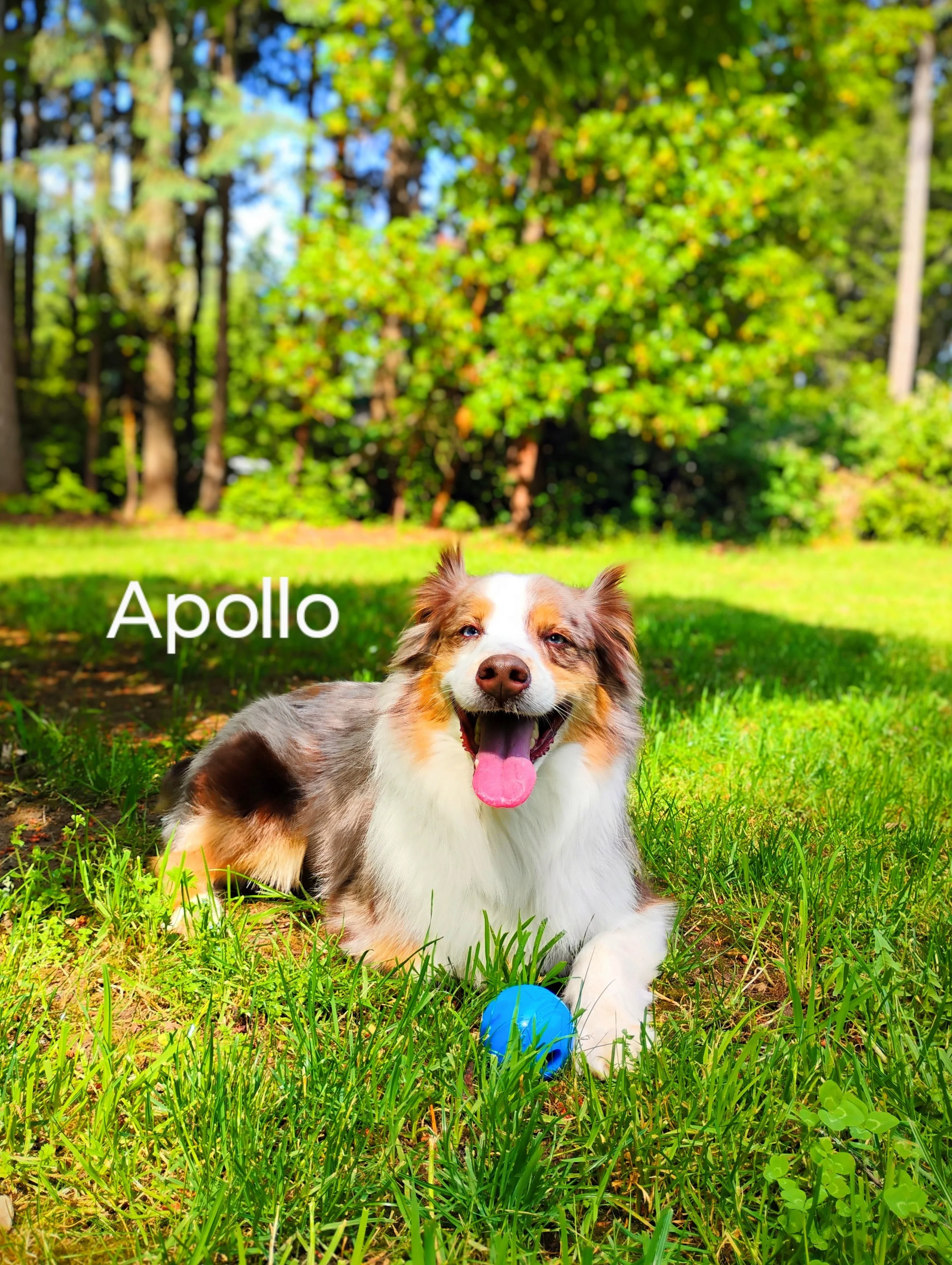 Apollo Starman