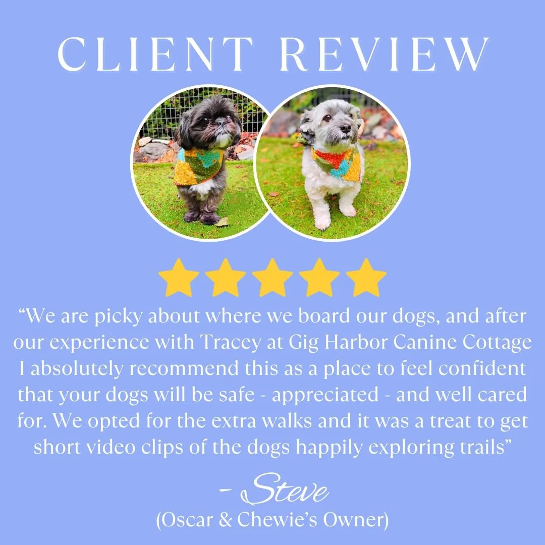 Oscar and Chewie.jpg