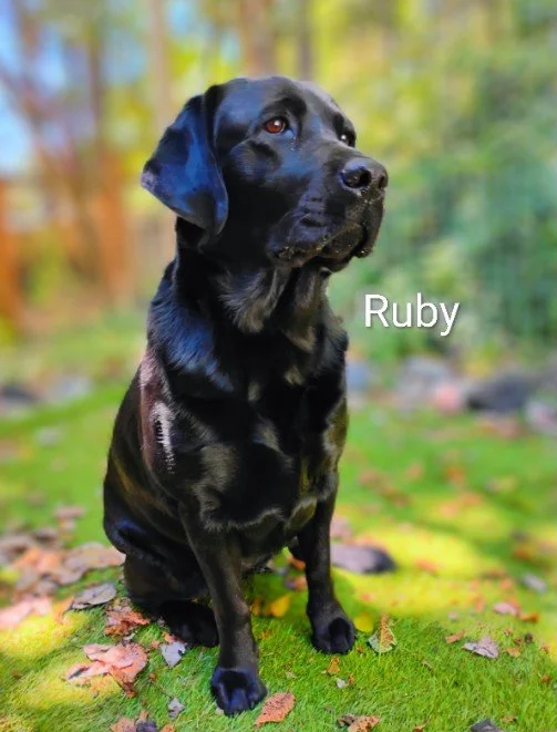 Ruby Gall