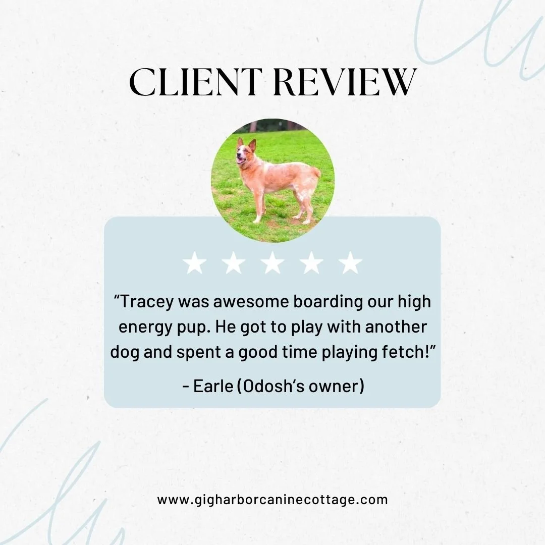 5 Star - Earle - Odosh.jpg