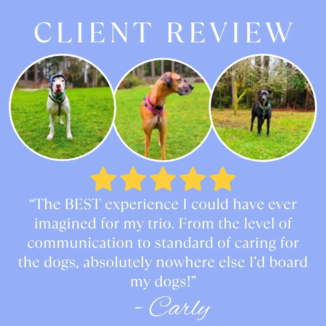 5 Star - Carly - Mak, Jak, Ben.jpg