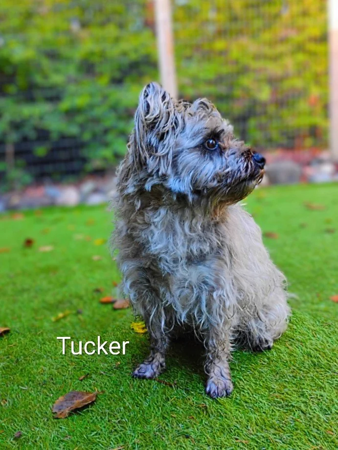 Tucker Logan