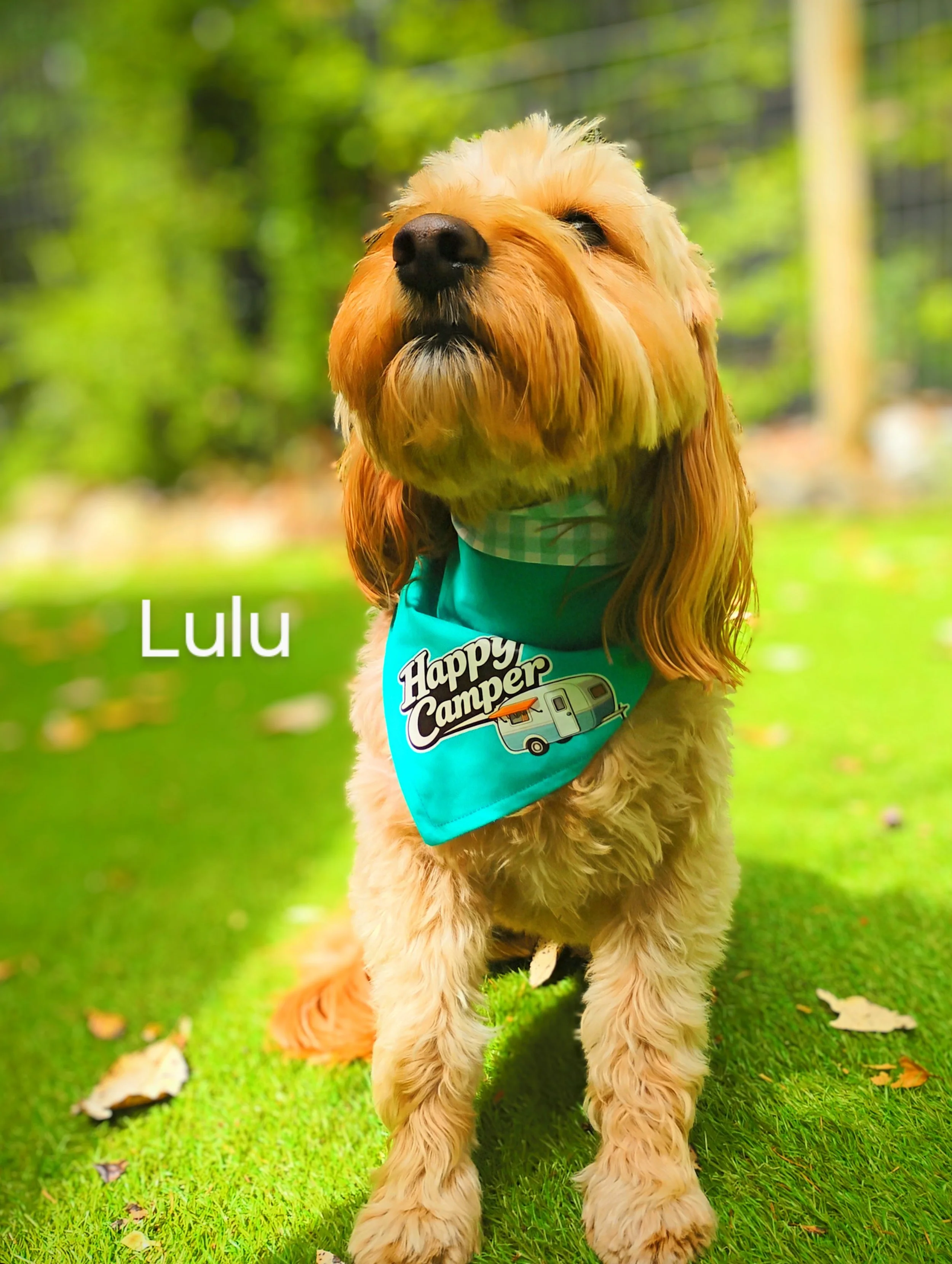 Lulu Muenz