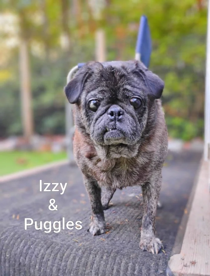 Izzy & Puggles Estudillo