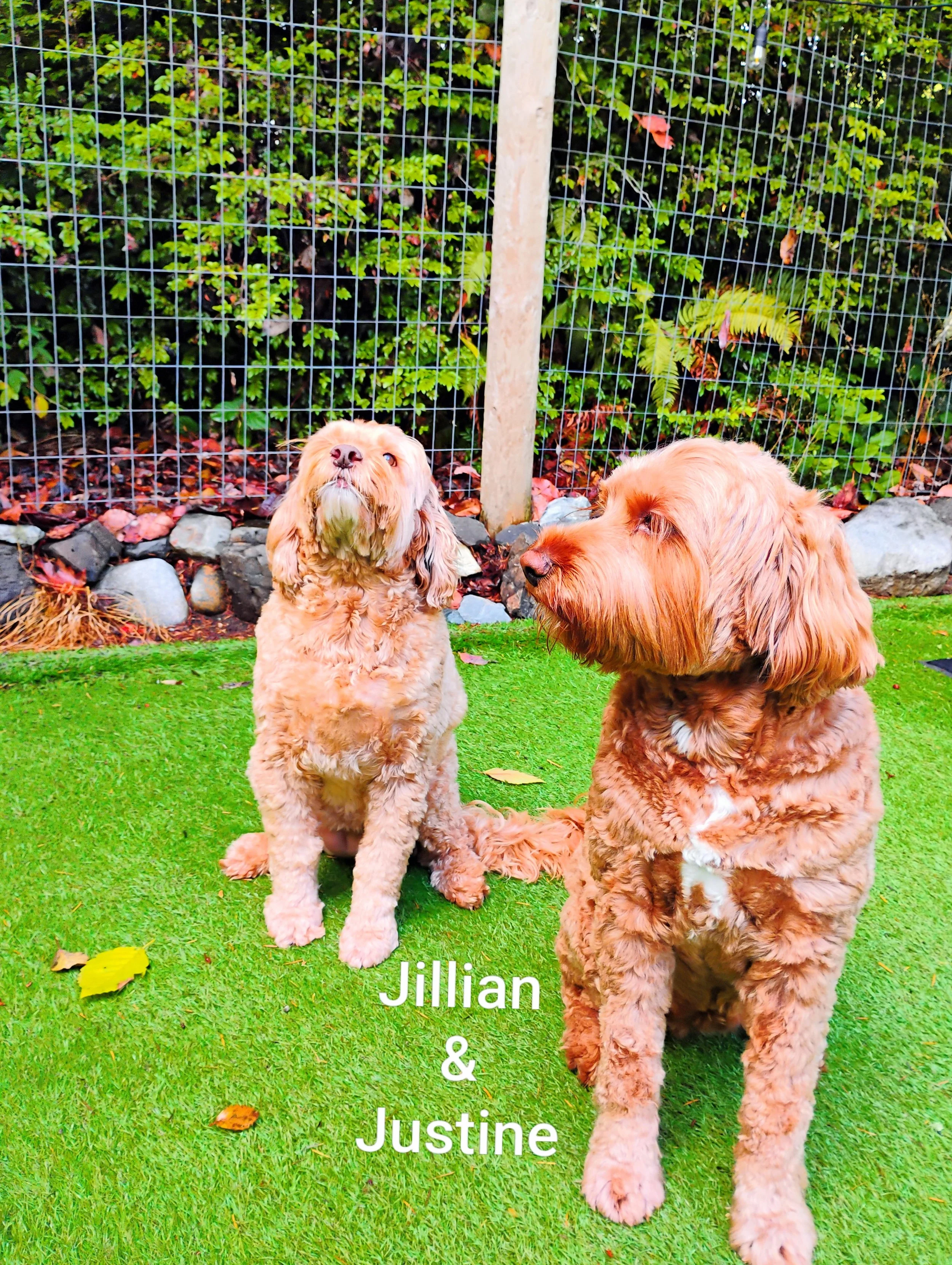 Jillian & Justine Ruffo