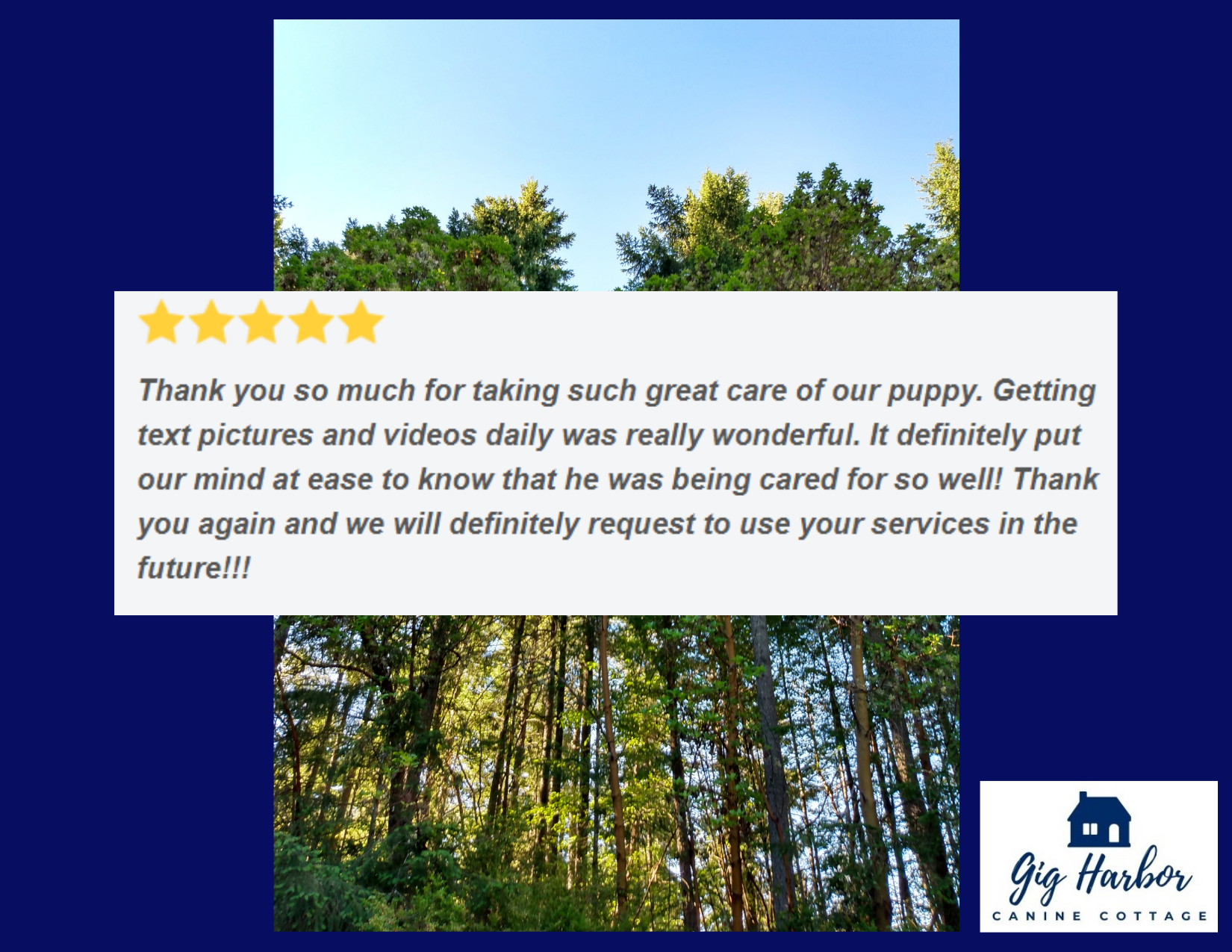 5 Star Review - Muggins (Shauni) Chessie Bay Retreiver.png
