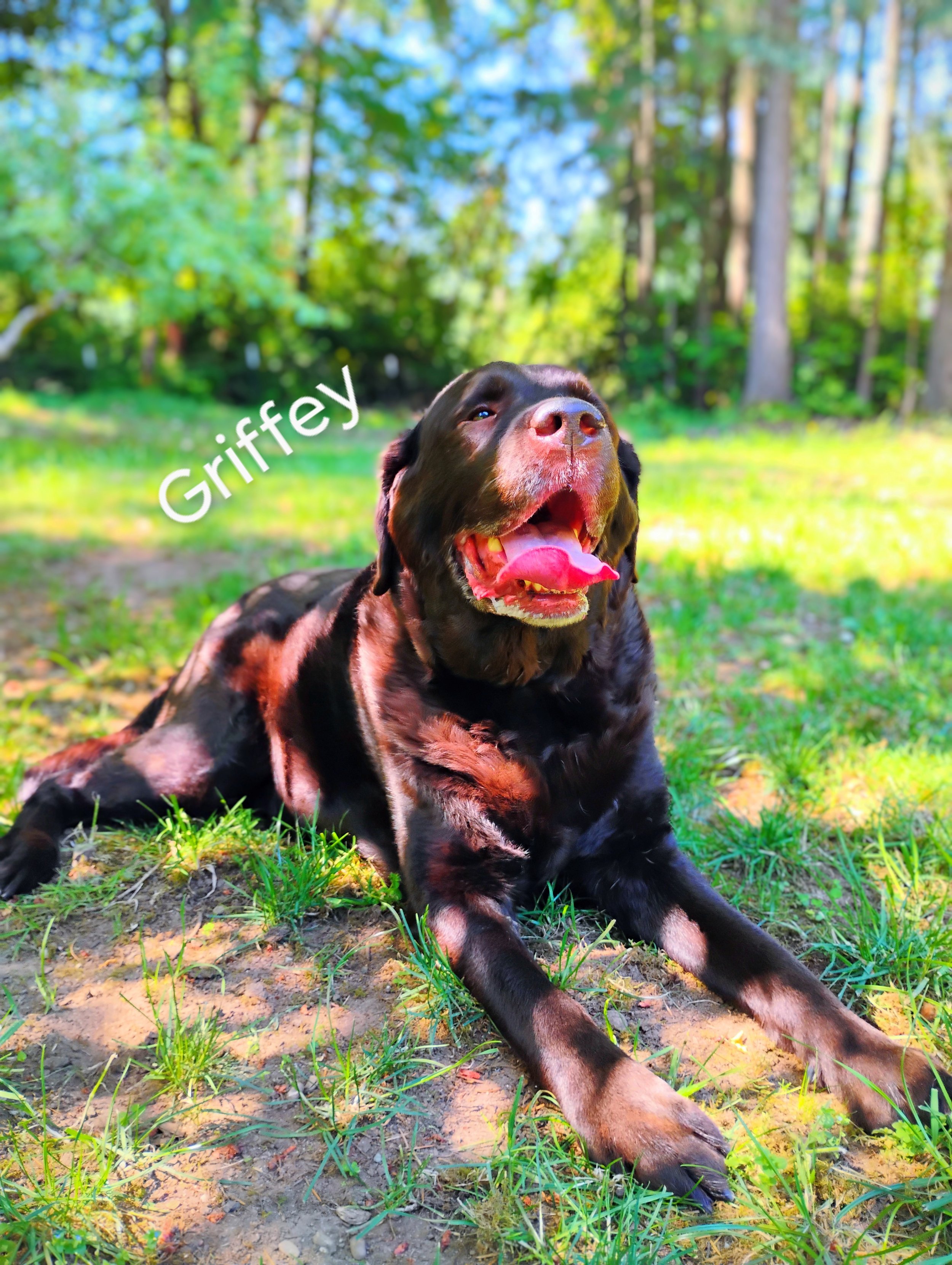 Griffey Medina