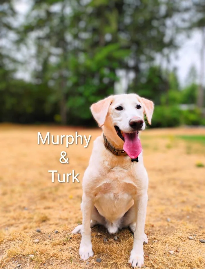 Murphy & Turk Schwab