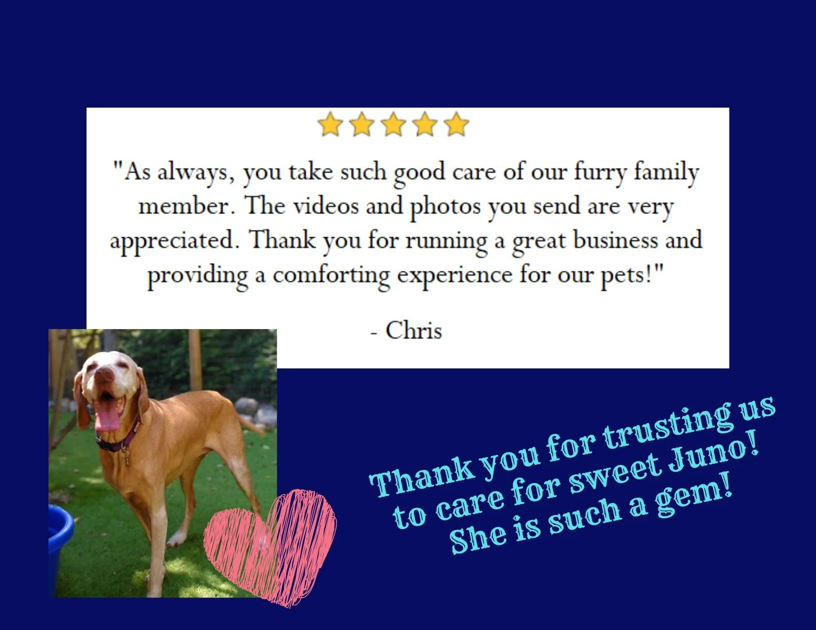 5 Star - Chris - Juno.jpg
