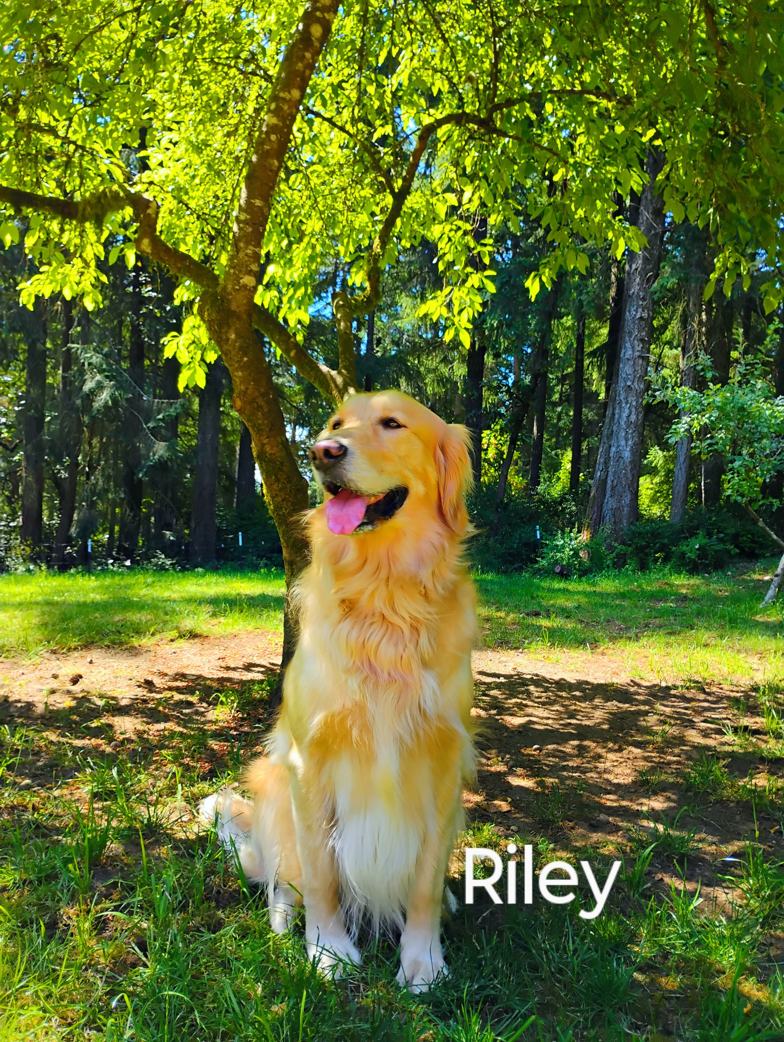 Riley Floyd
