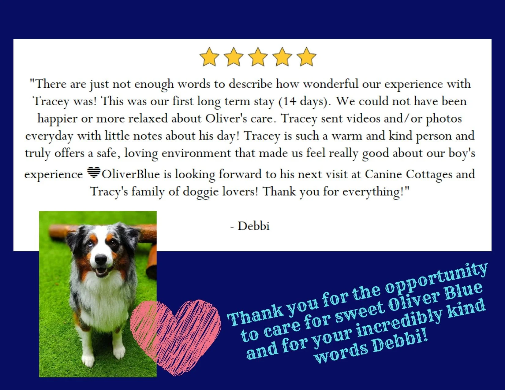 5 Star - Oliver Blue - Debbi.jpg