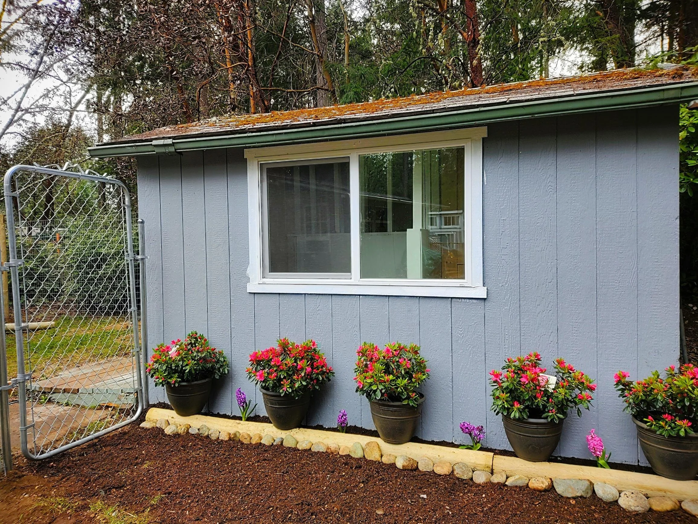 Cottage - Outside.jpg