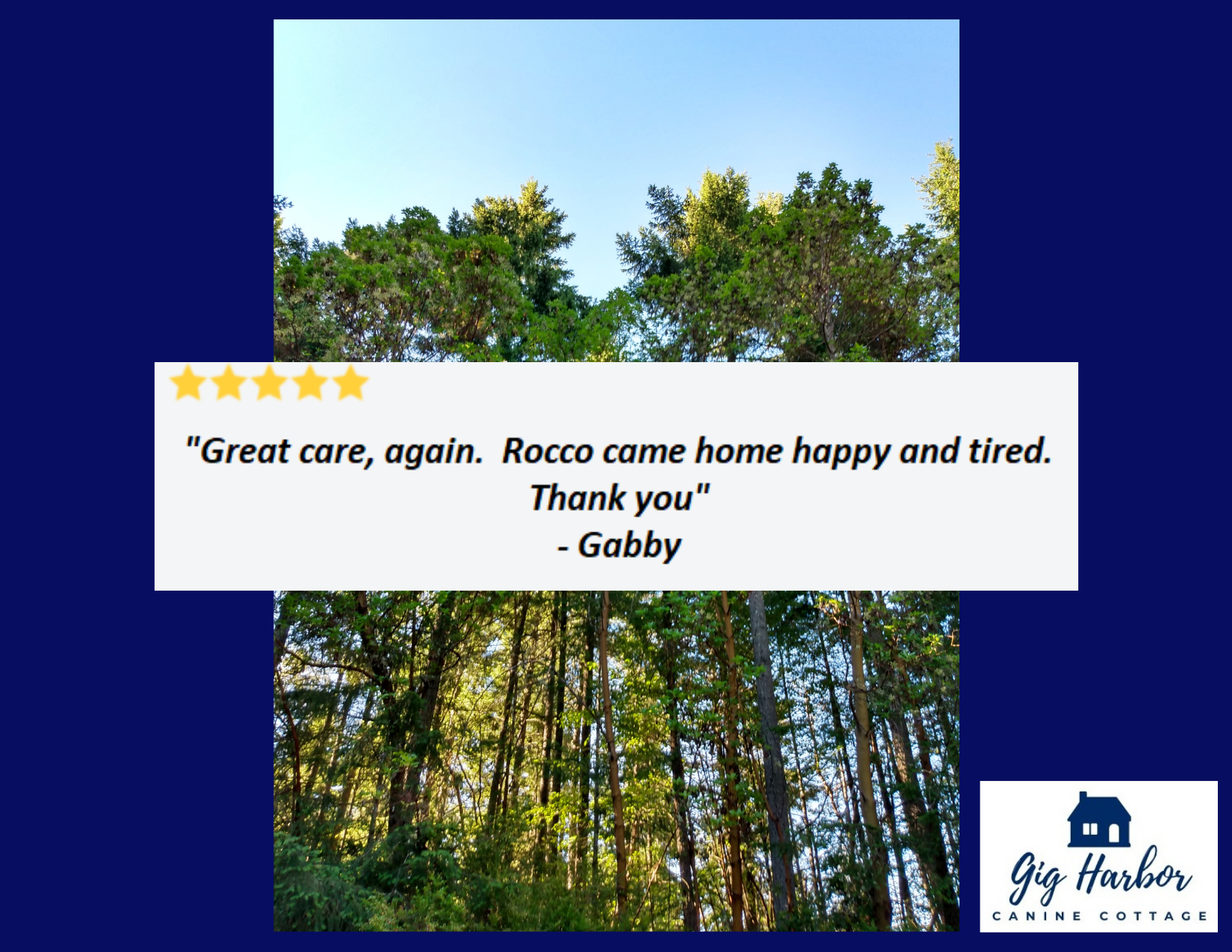 5 Star review - Gabby (Rocco).png