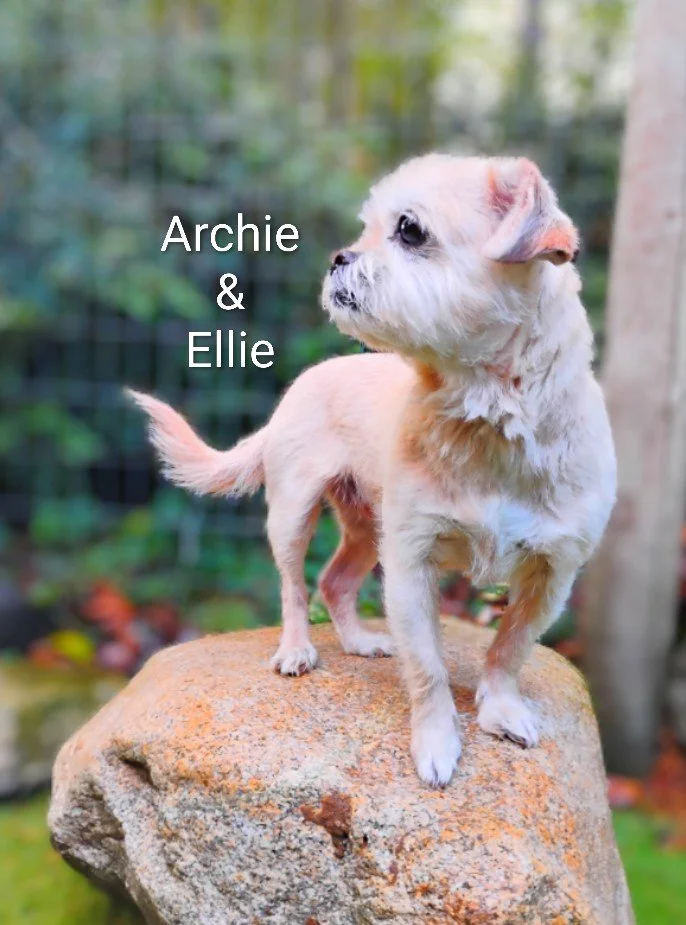 Archie & Ellie Smith