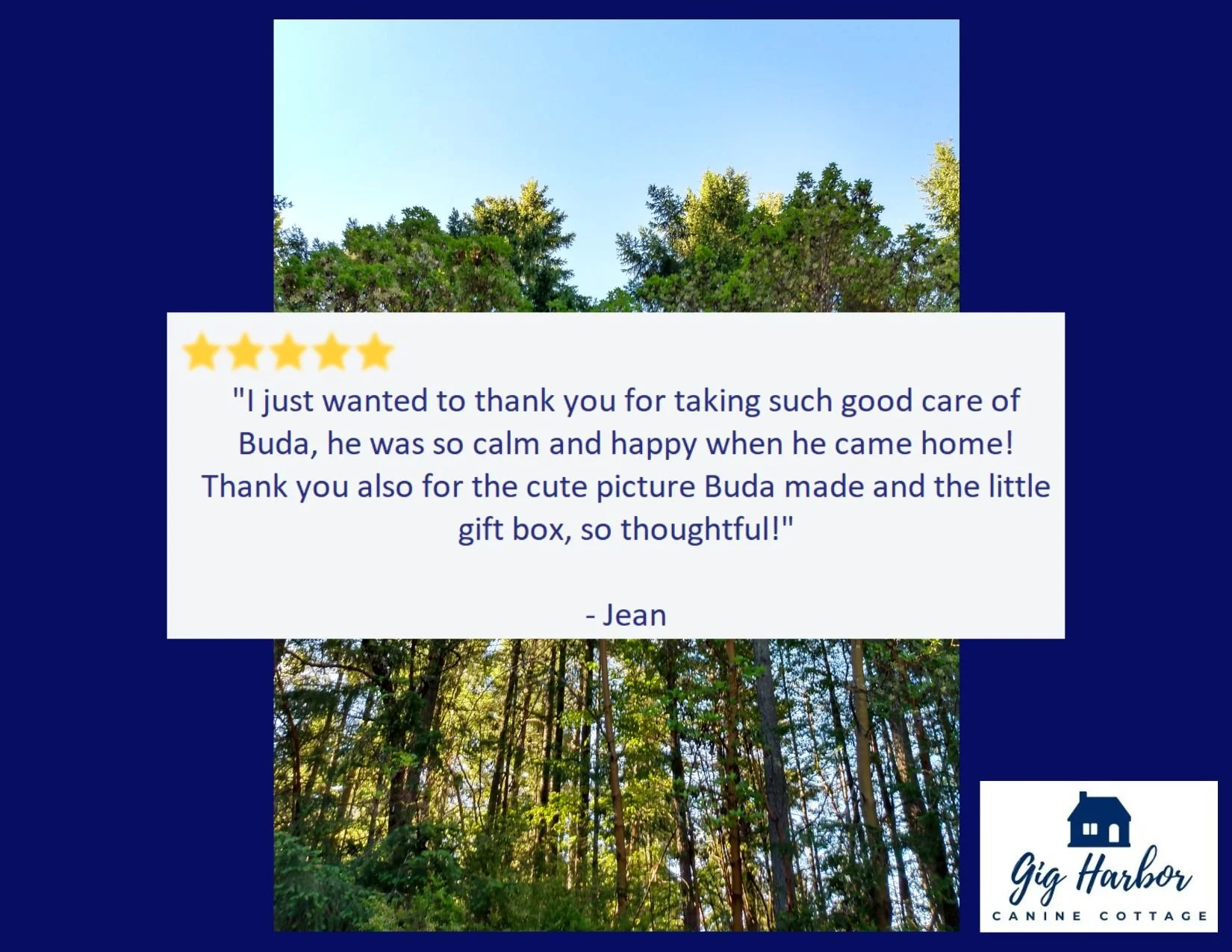 5 Star - Jean - Buda Bear.jpg