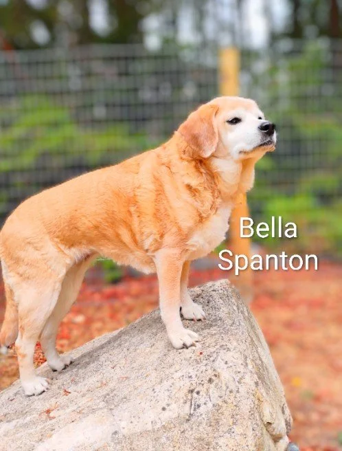 Bella Spanton
