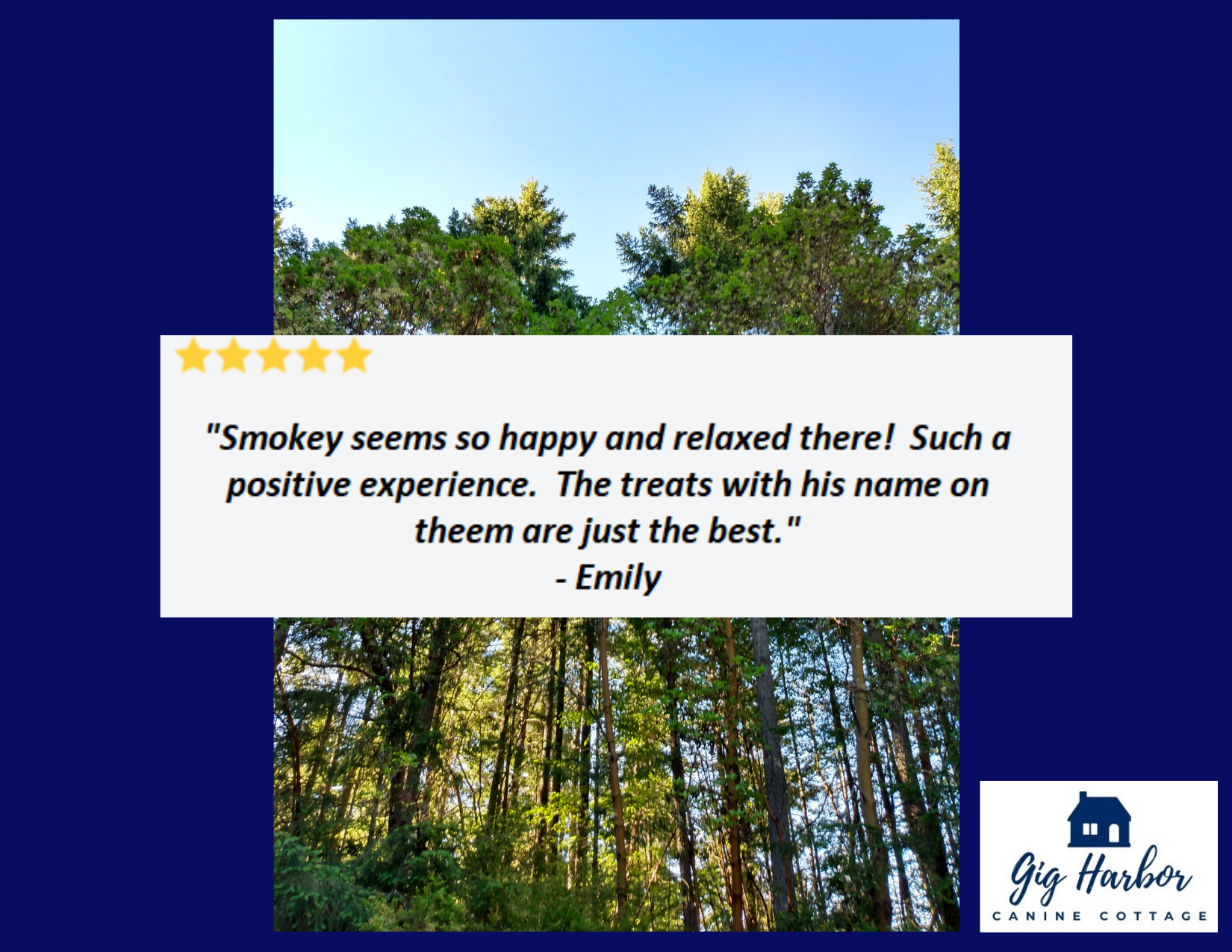 5 Star review - Emily (Smokey) - Shepherd.png