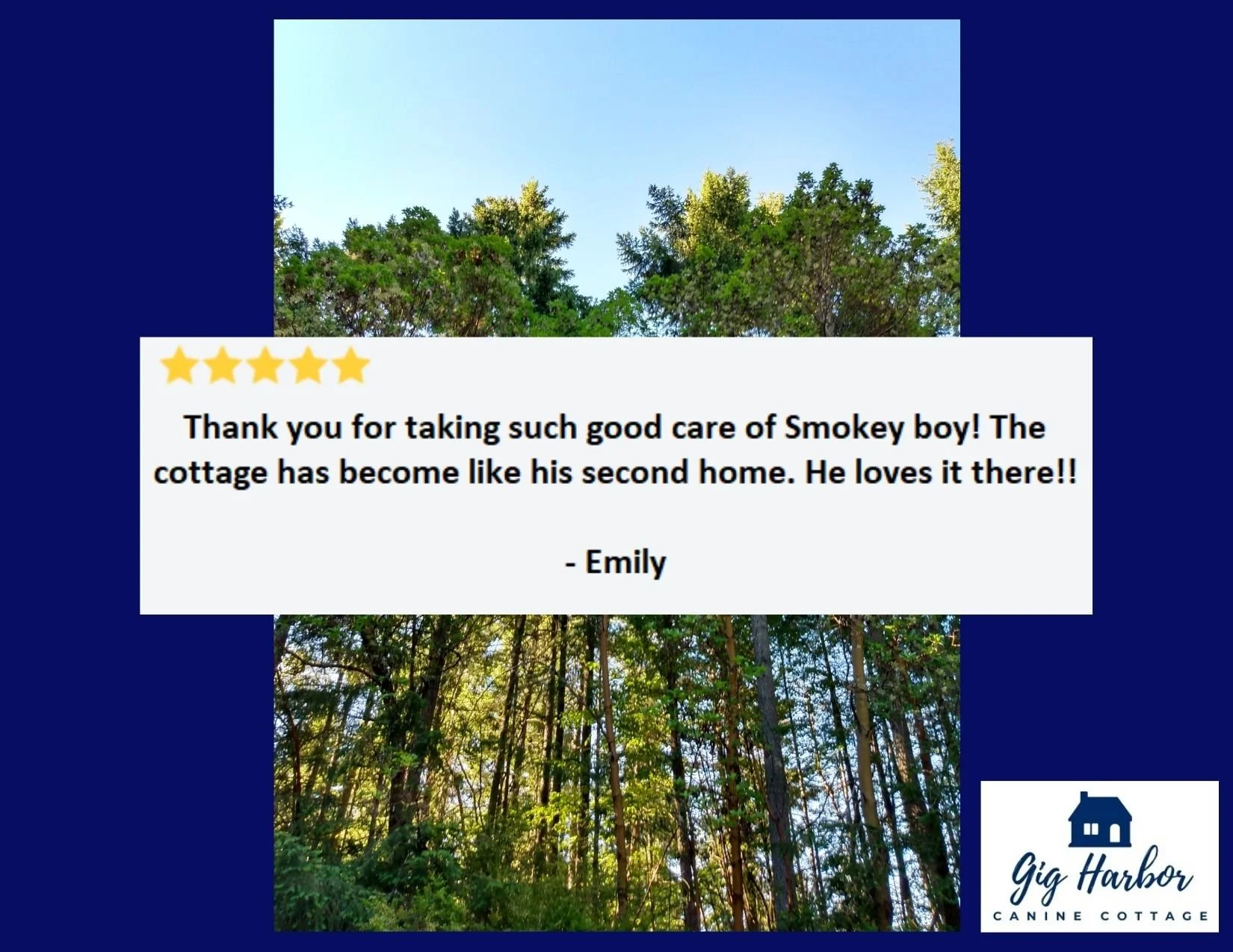 5 Star - Emily - Smokey (3).jpg