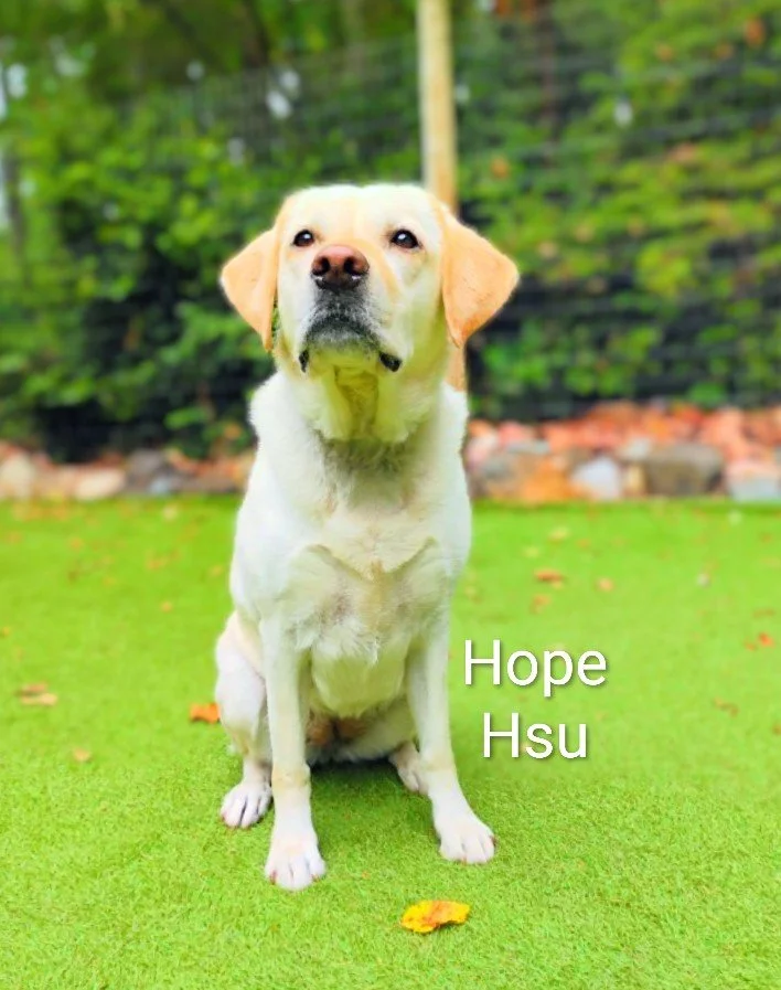 Hope Hsu