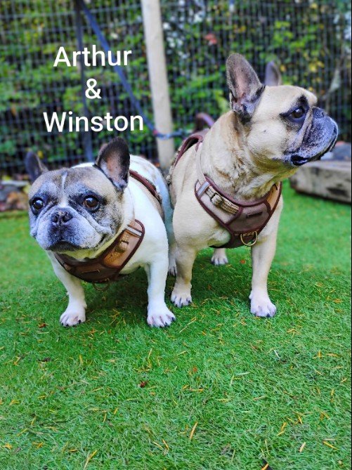 Arthur & Winston Nelson
