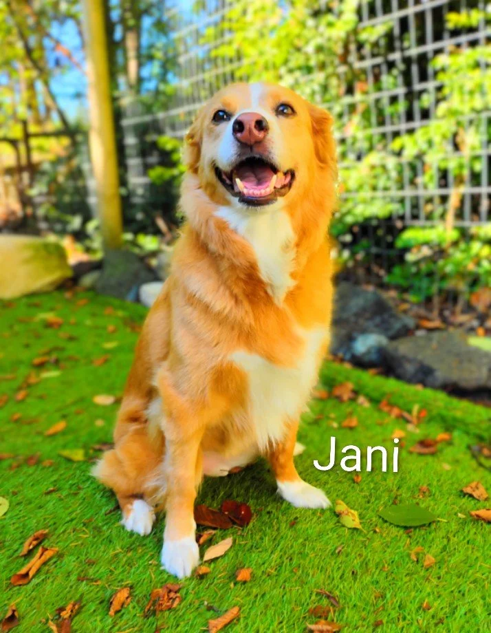 Jani Bell
