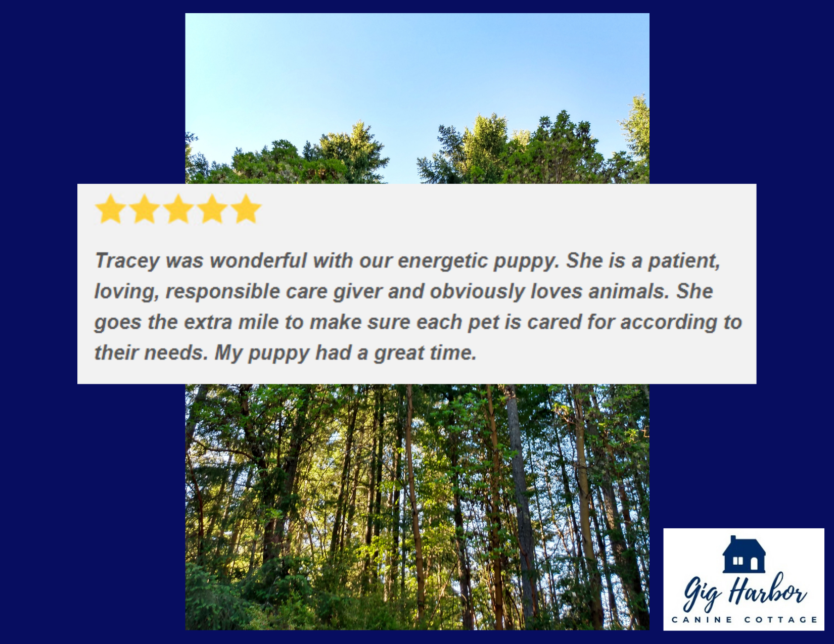 5 Star Review - Carly (Julie) - Havanese.png