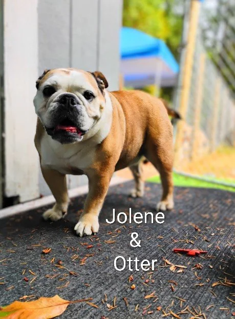 Jolene & Otter McNamara