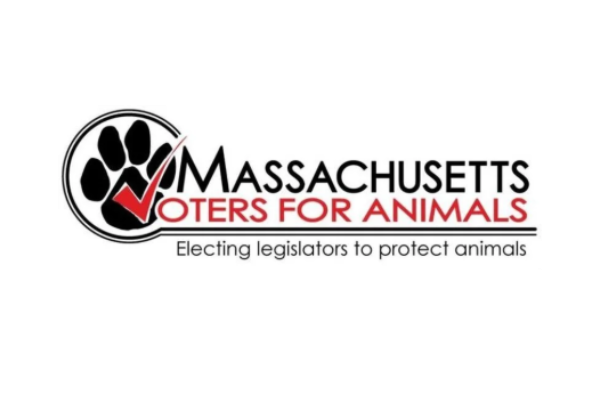 Logo for Massachusetts Voters for Animals with a black paw print and red checkmark, and the slogan 'Electing legislators to protect animals'.