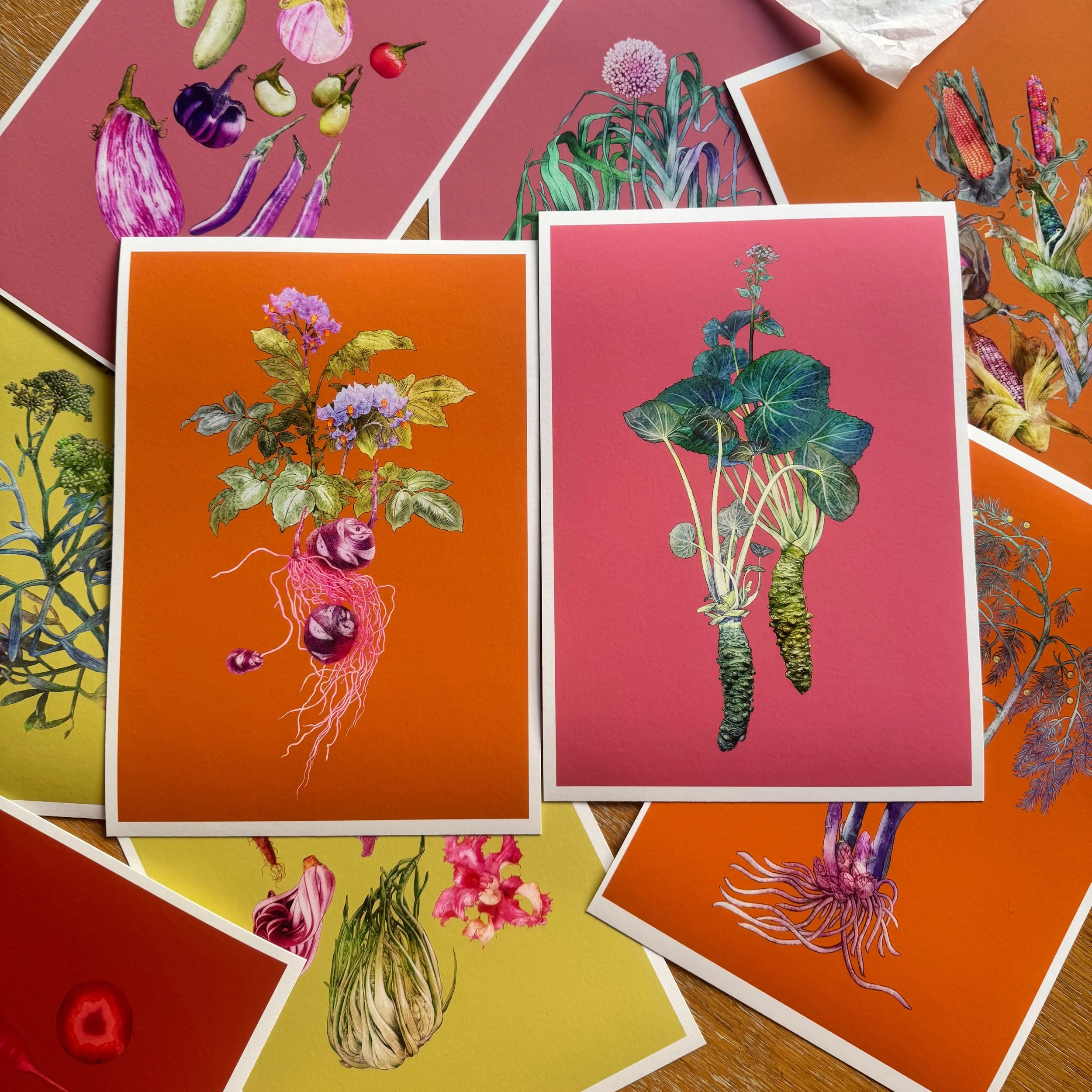 Curious Lives of Vegetables — Prints — Collection (3x)