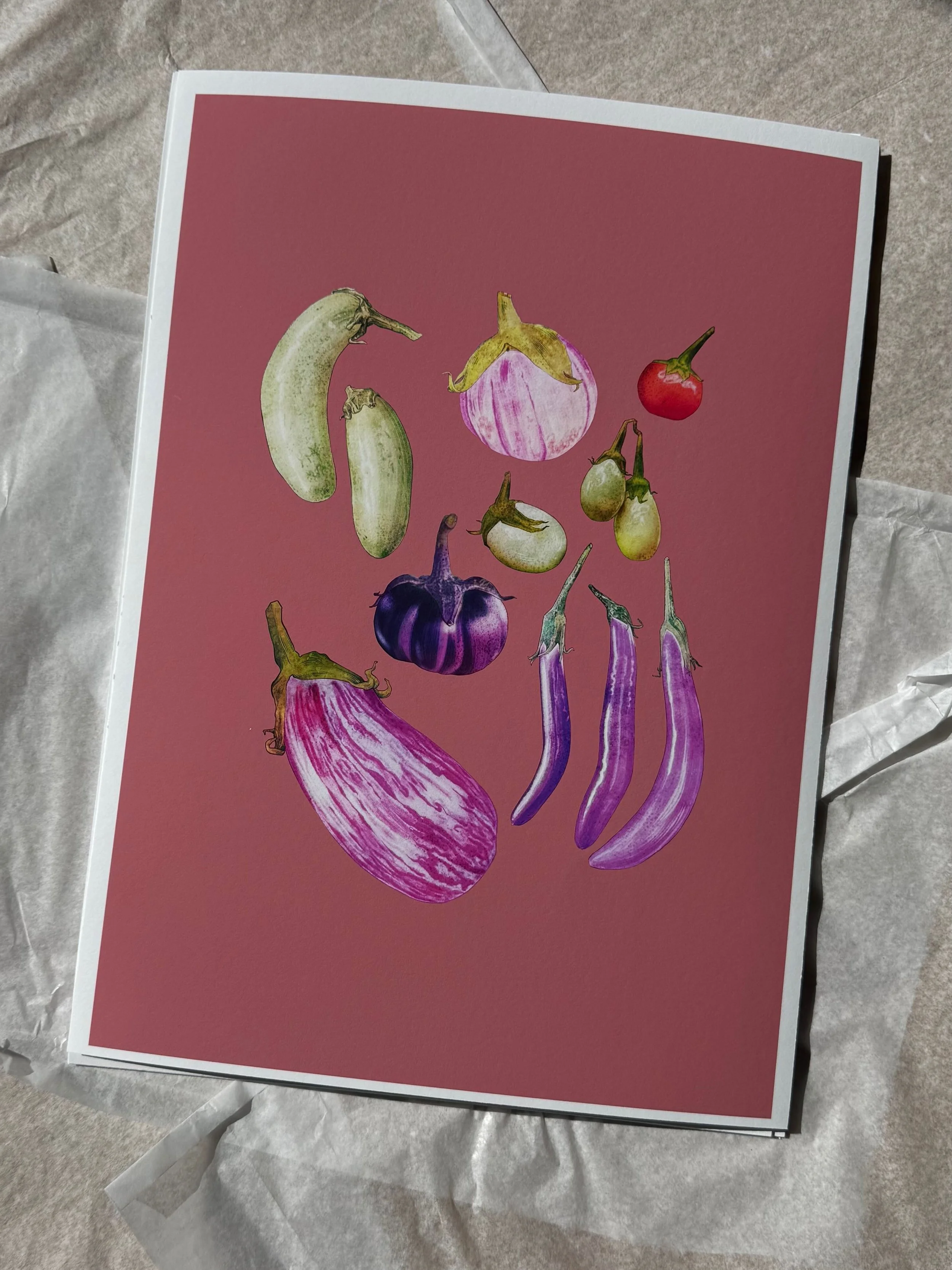Curious Lives of Vegetables — Print — Egg Plant