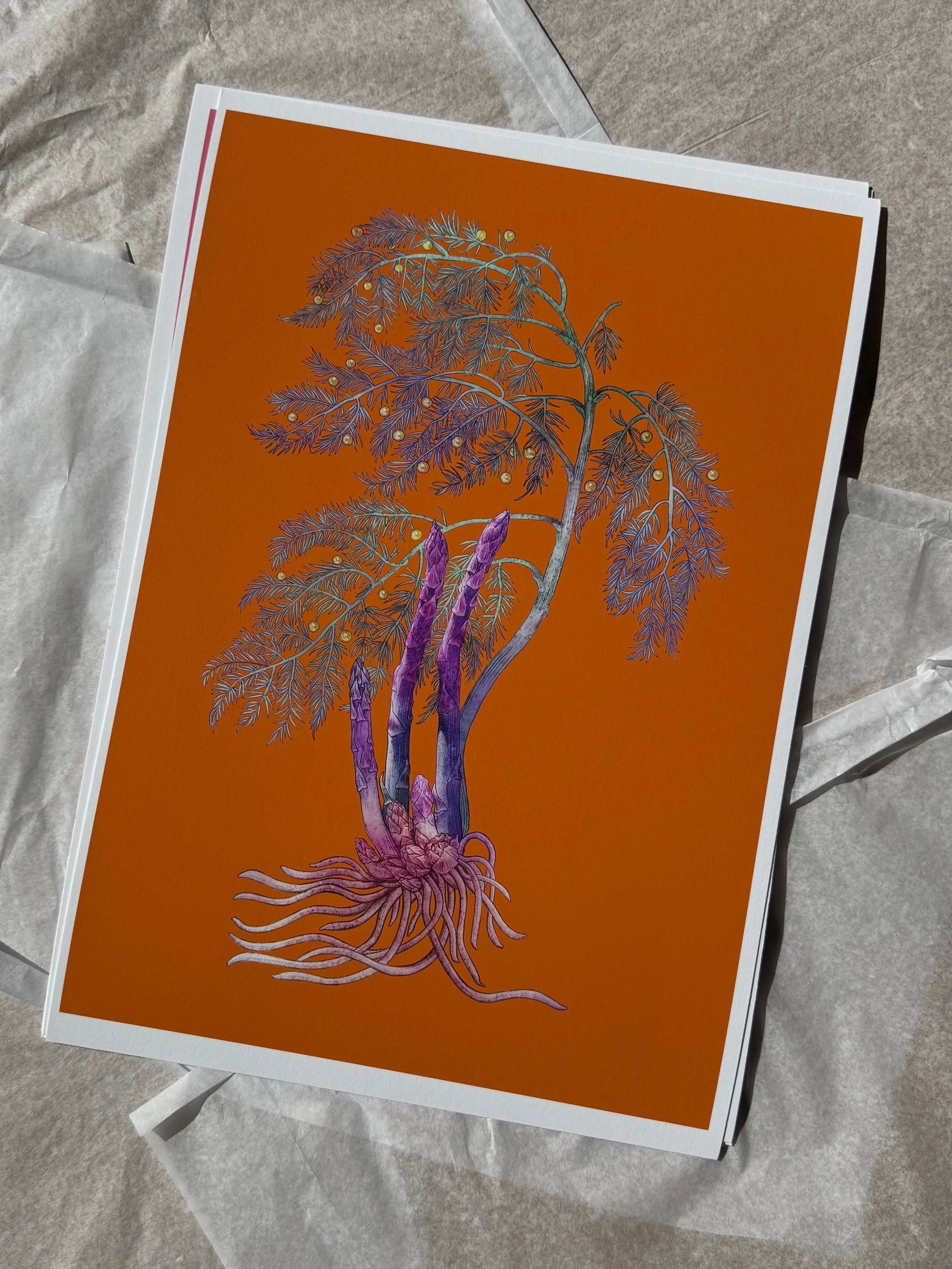 Curious Lives of Vegetables — Print — Asparagus