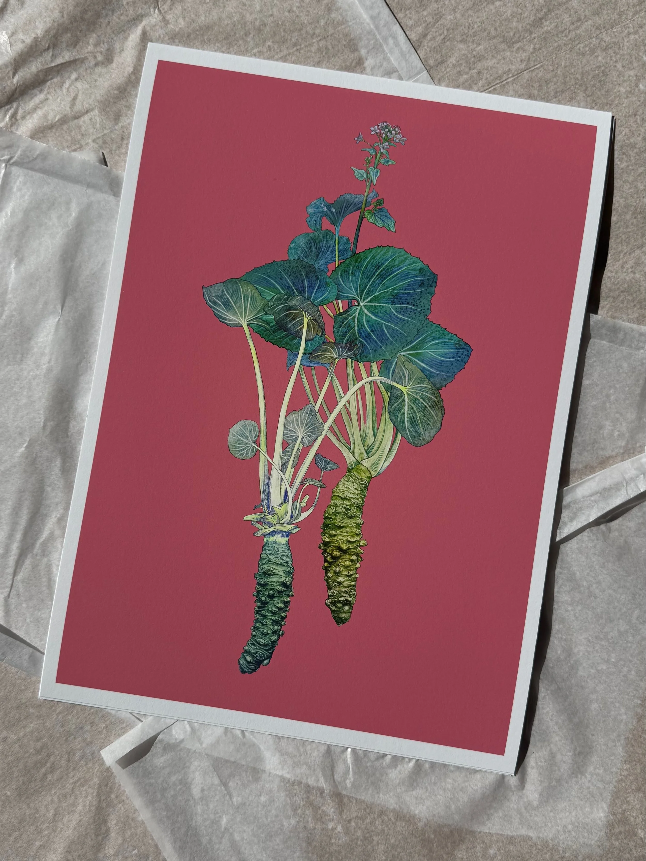 Curious Lives of Vegetables — Print — Wasabi