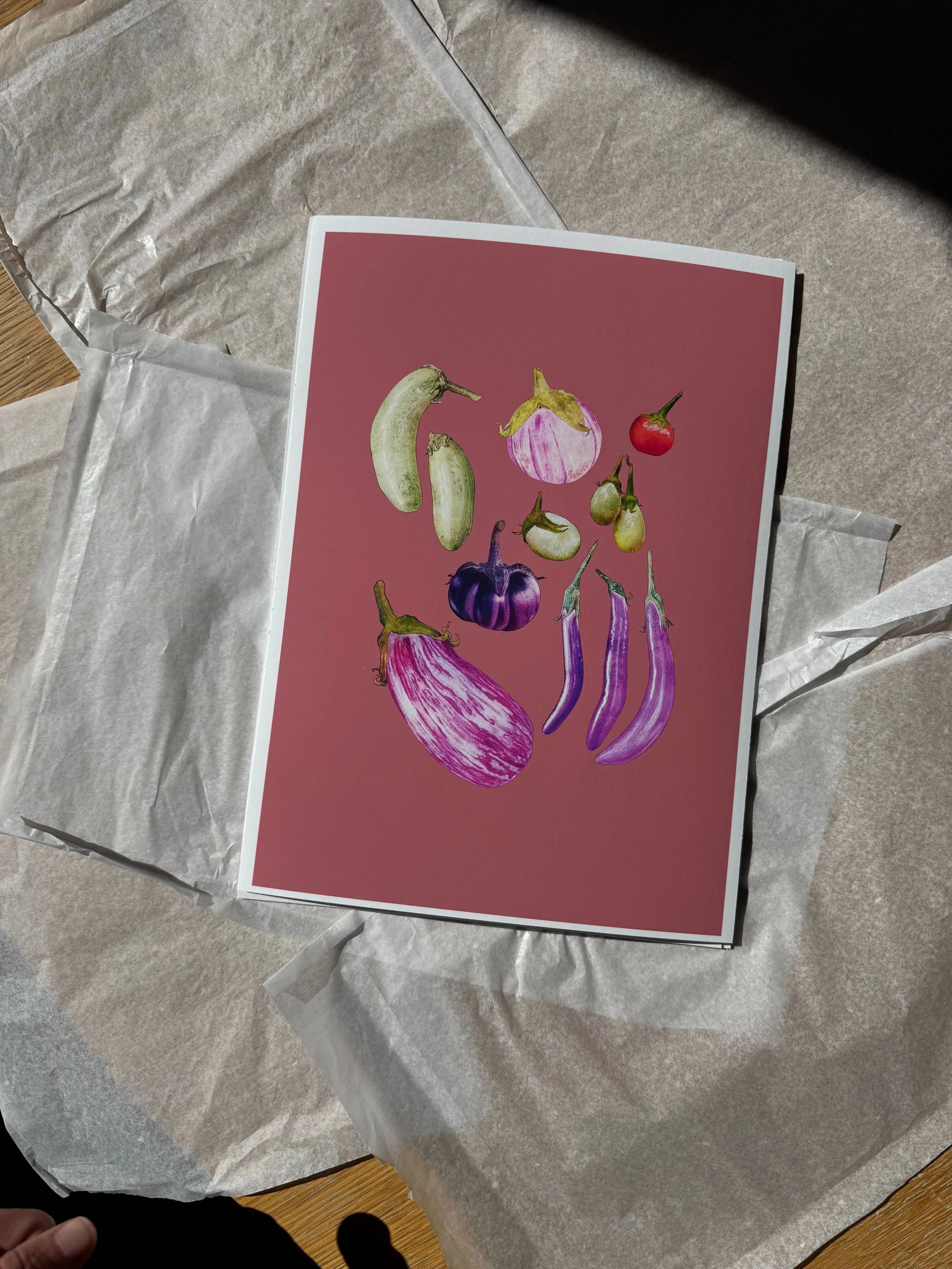 IMG_0868 (1).jpeg
