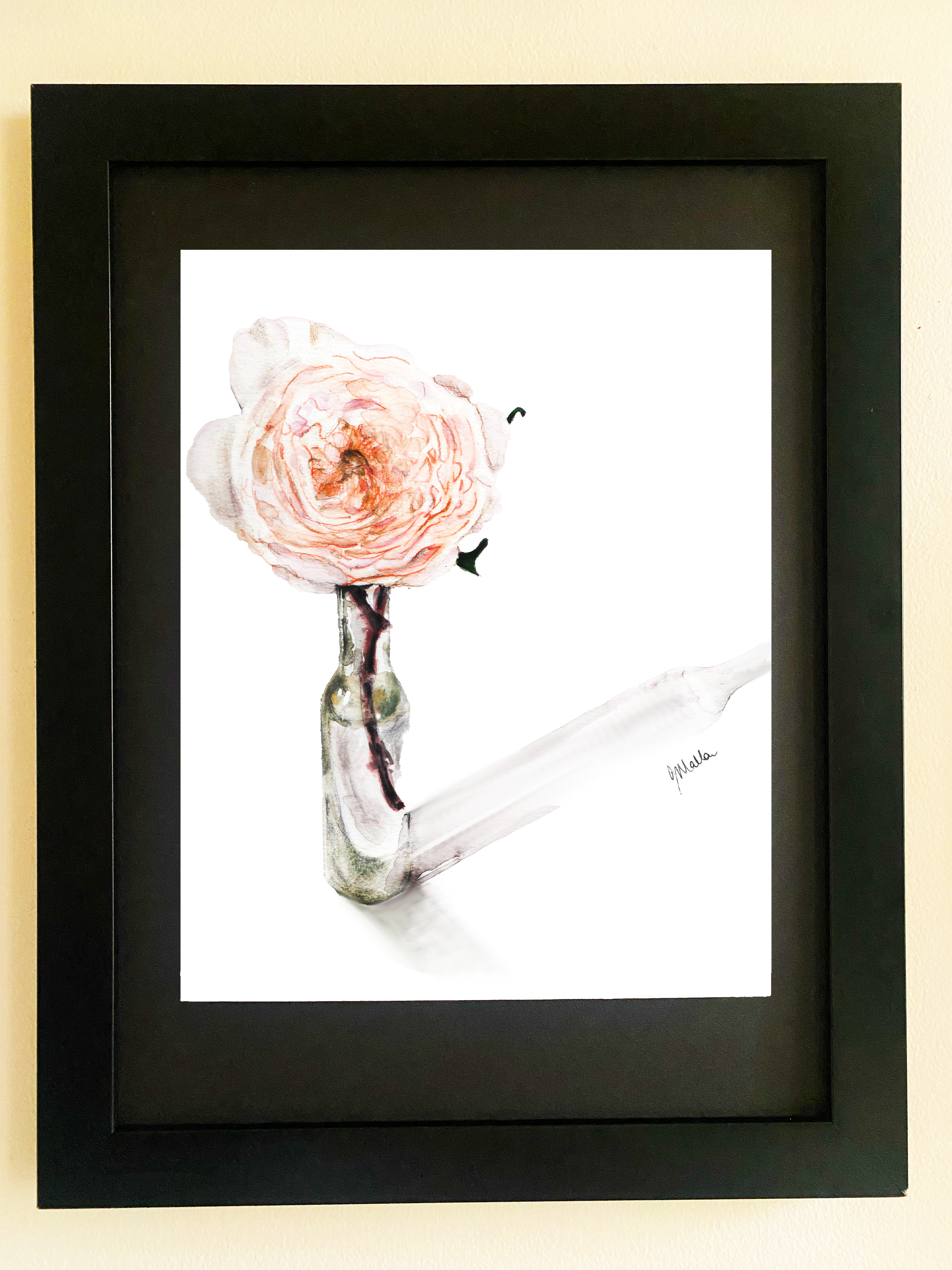 Rose in a bottle framed.png