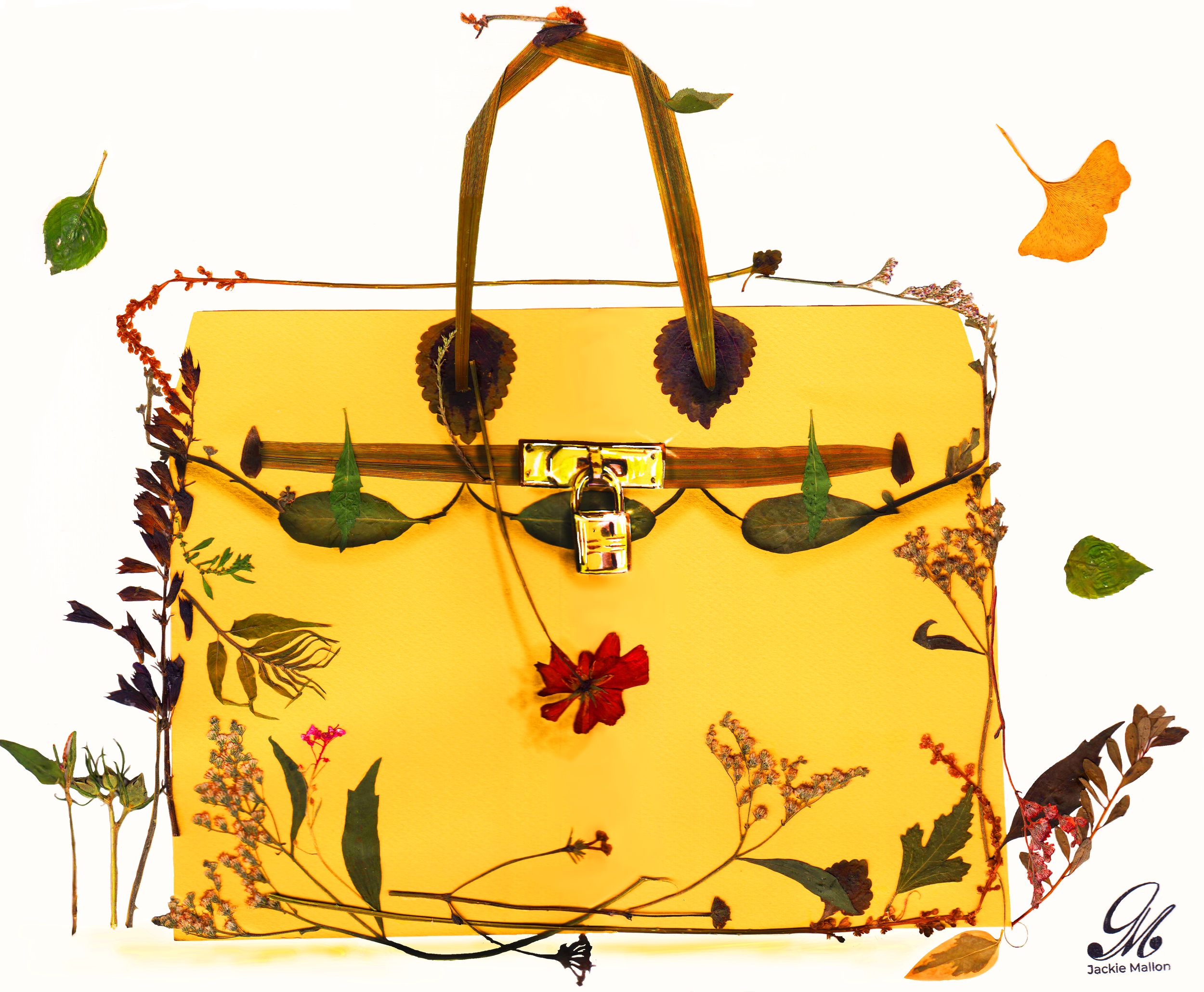 Breezy Birkin.png