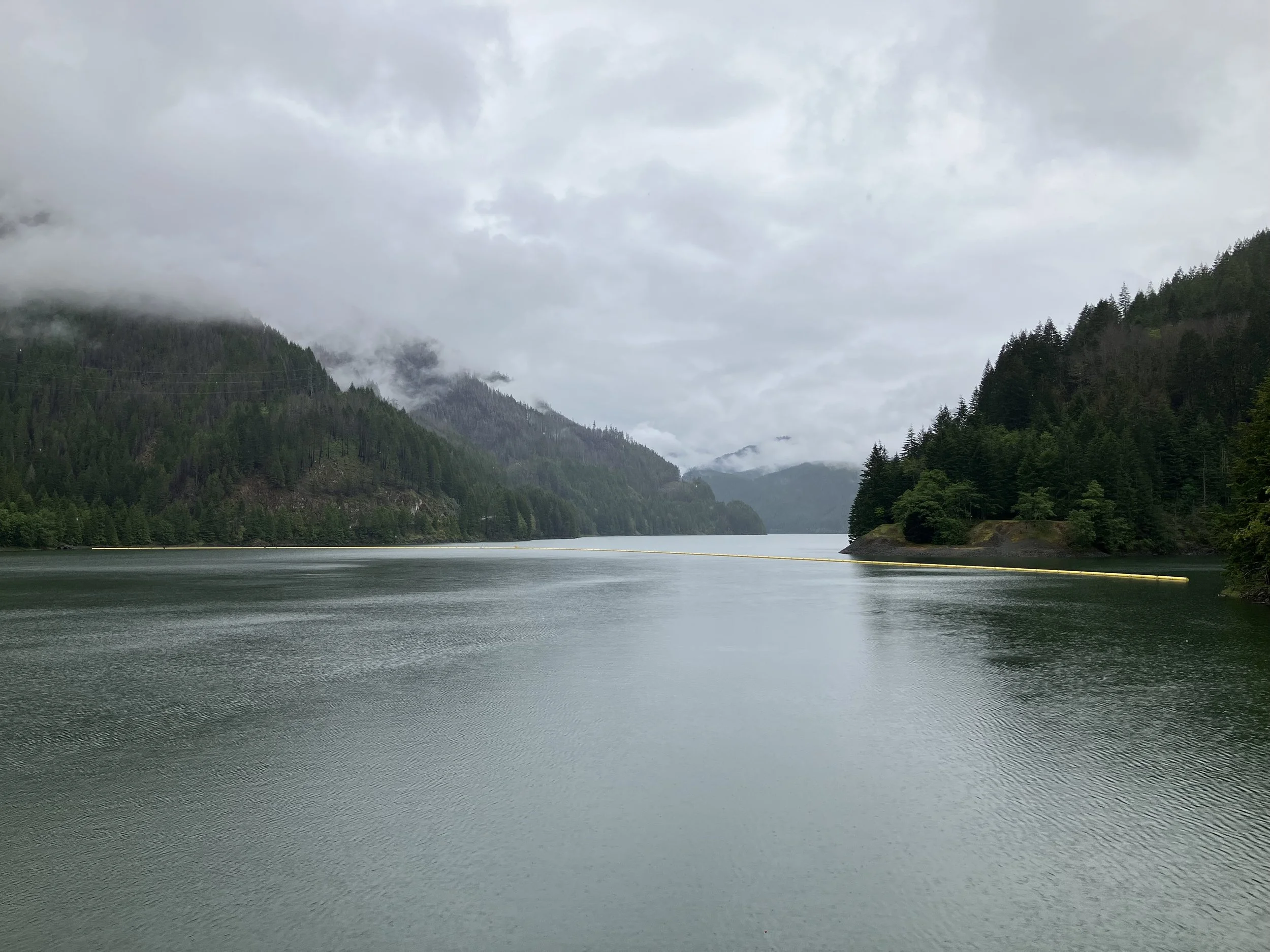 Marion County Urges Pause to Planned Draining of Detroit Lake