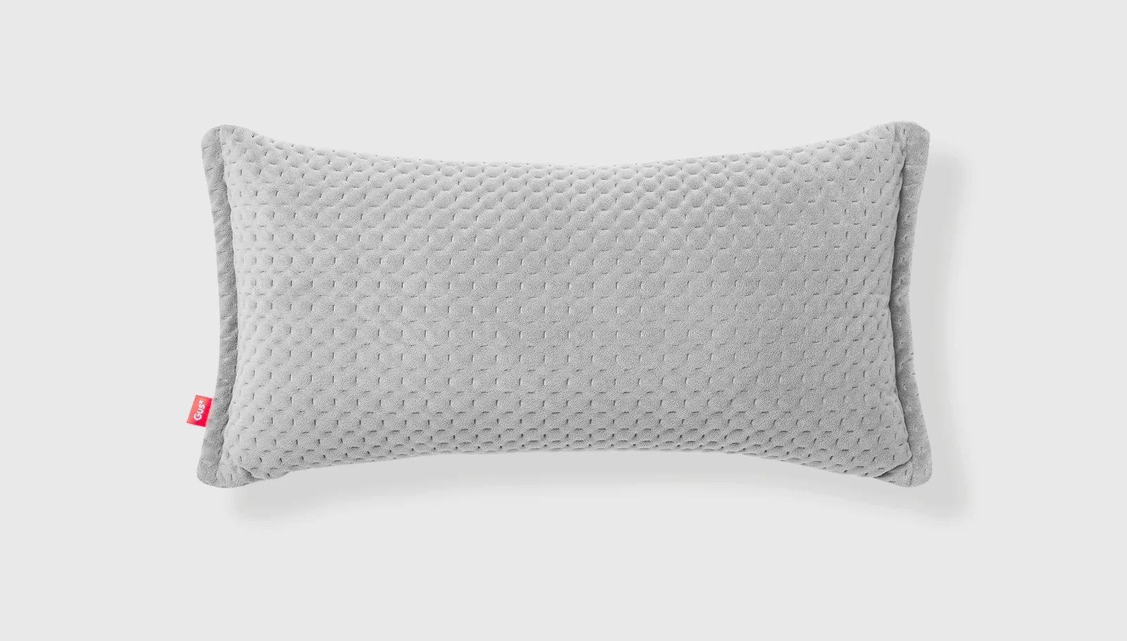 Ravi_Pillow_-_Via_Platinum_-_20x10_-_P01-ns2022.jpg