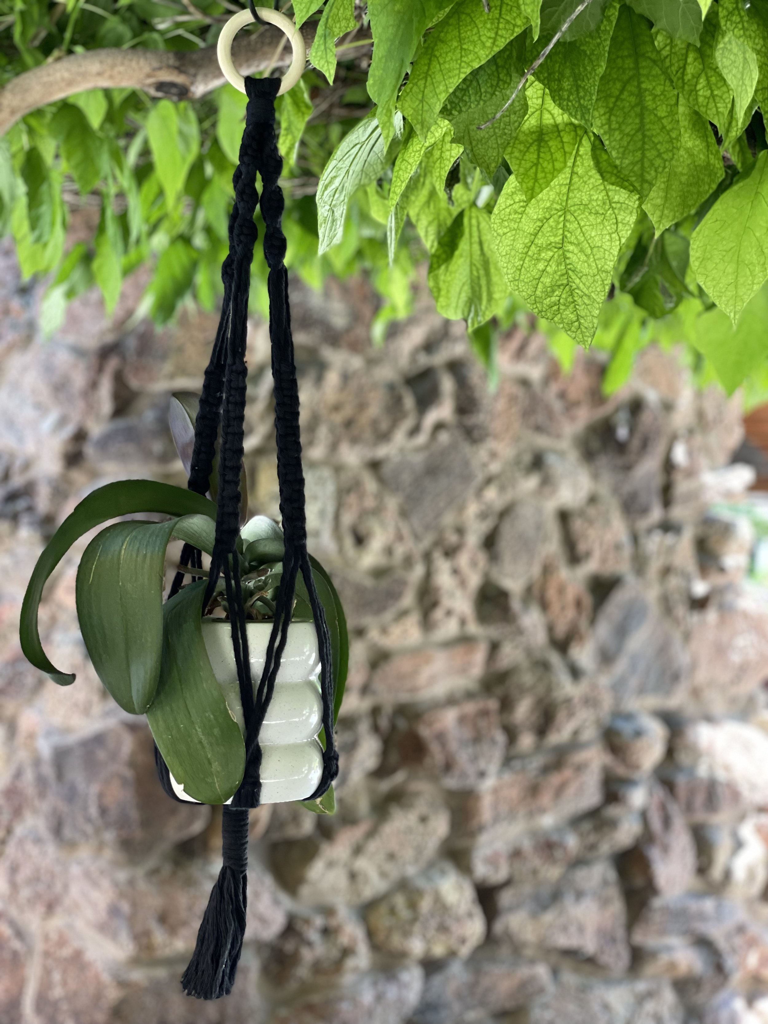 Beginner Macrame Plant Hanger Workshop