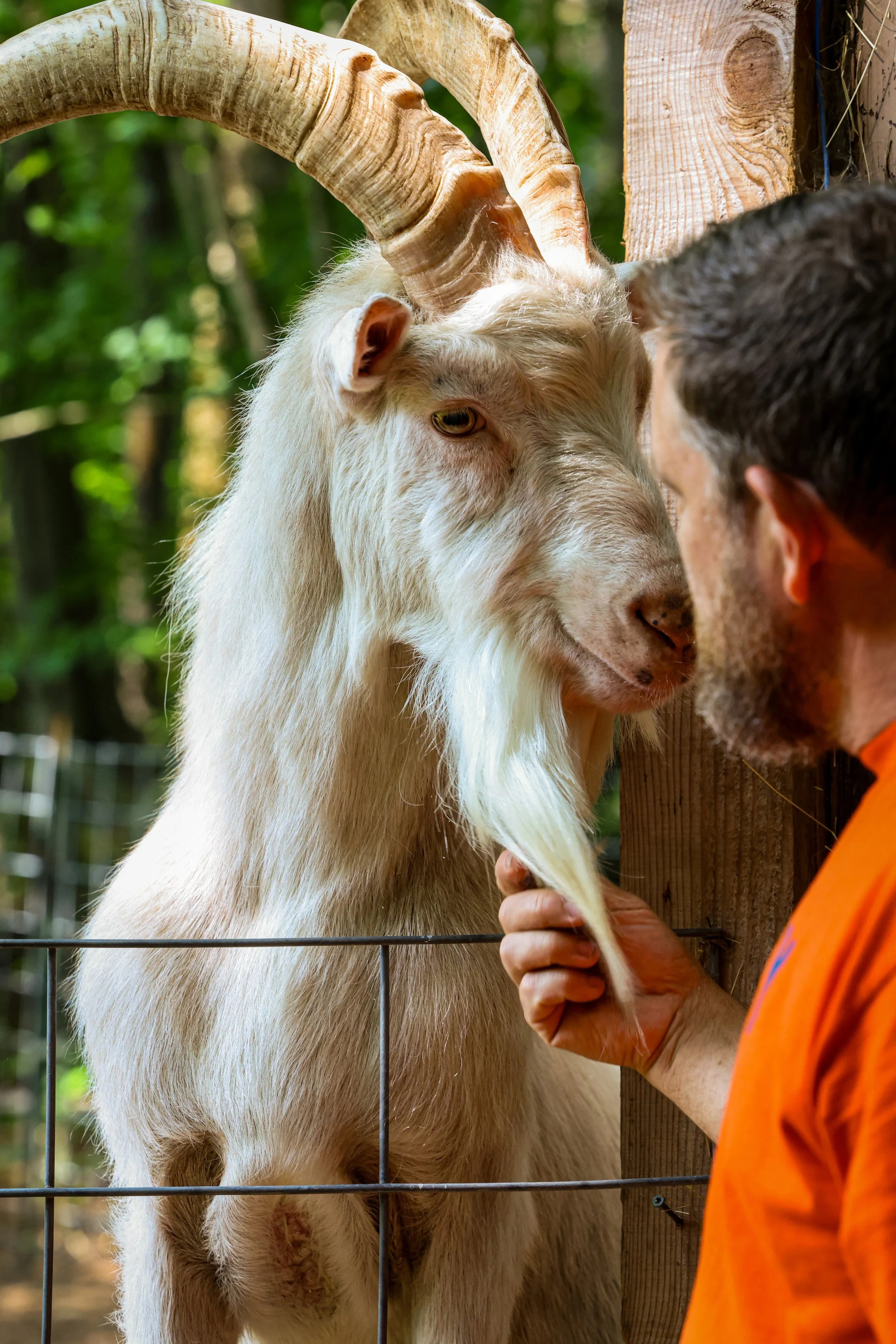 841A7593 2 copy.jpeg