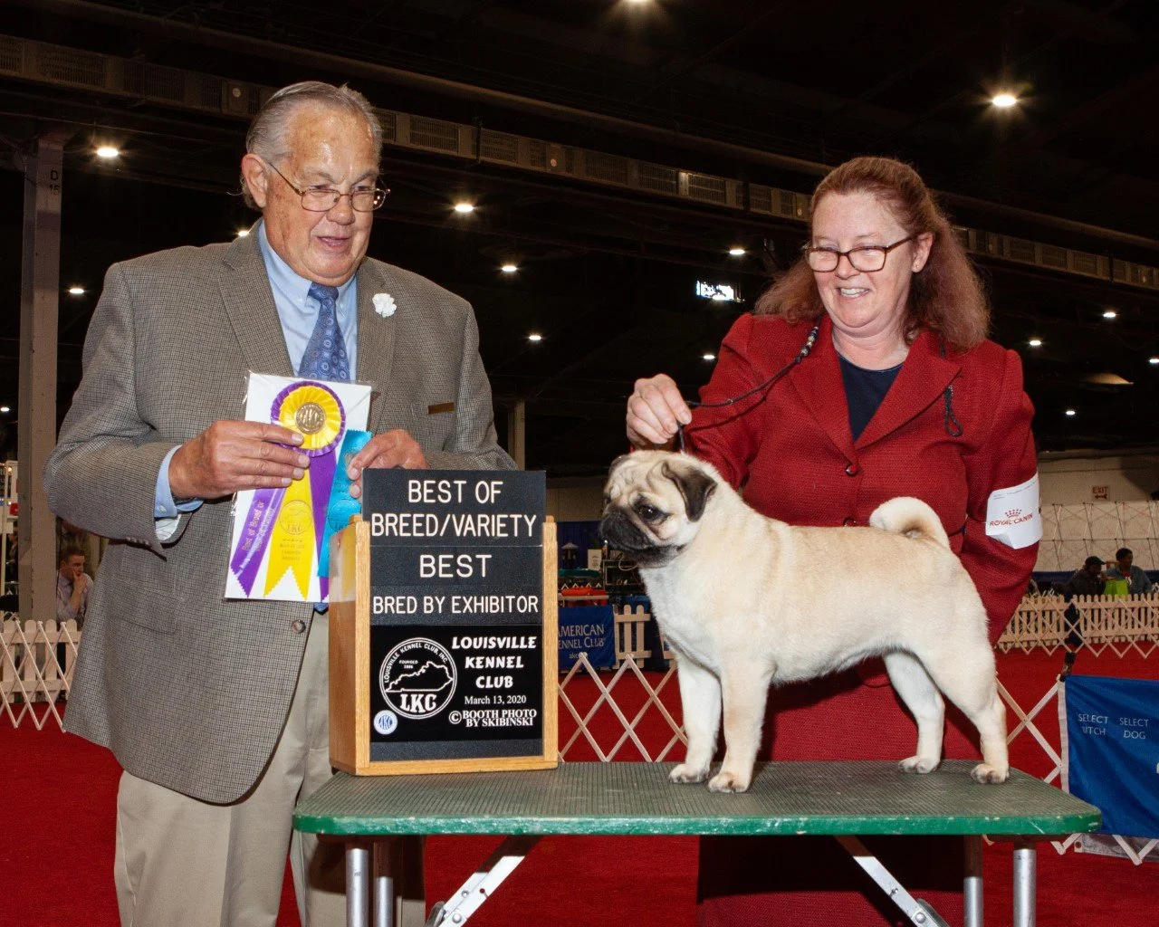 Our Story — Two Paws Up Dog Training, LLC