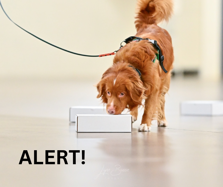 NACSW Odor Recognition Test (ORT)