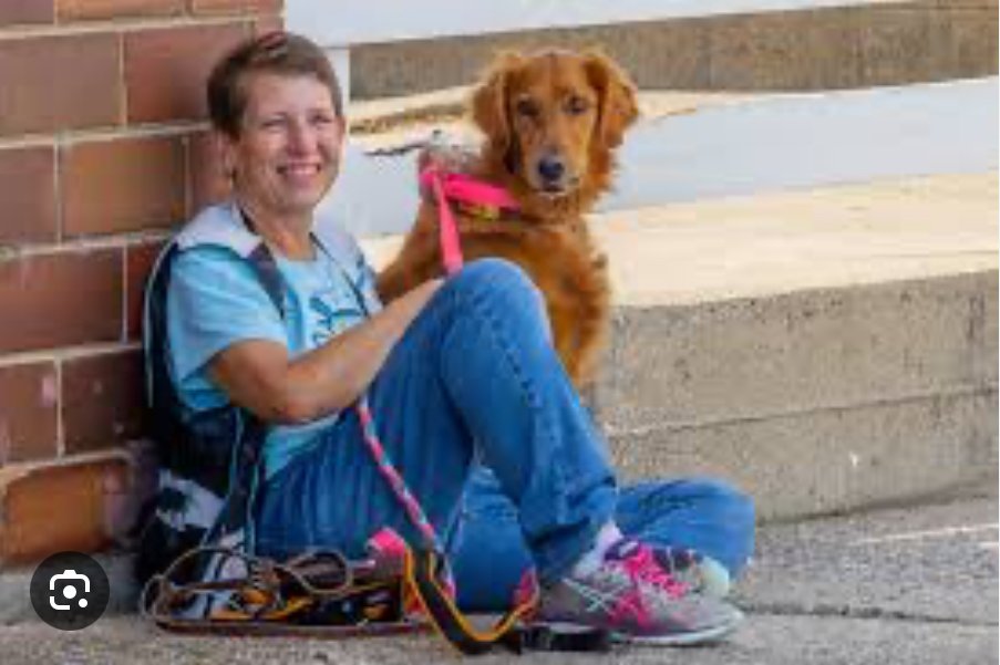 Holly Bushard Workshop - Nose Work Games