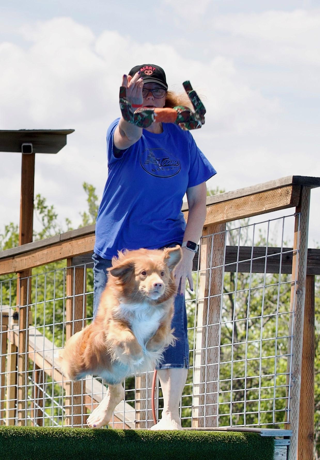 Mental Management for Dog Sports - Presented by Silke Wittig, CBA, CPDT-KSA, ACDBC, CNWI, Certified Mental Management Coach (level III)