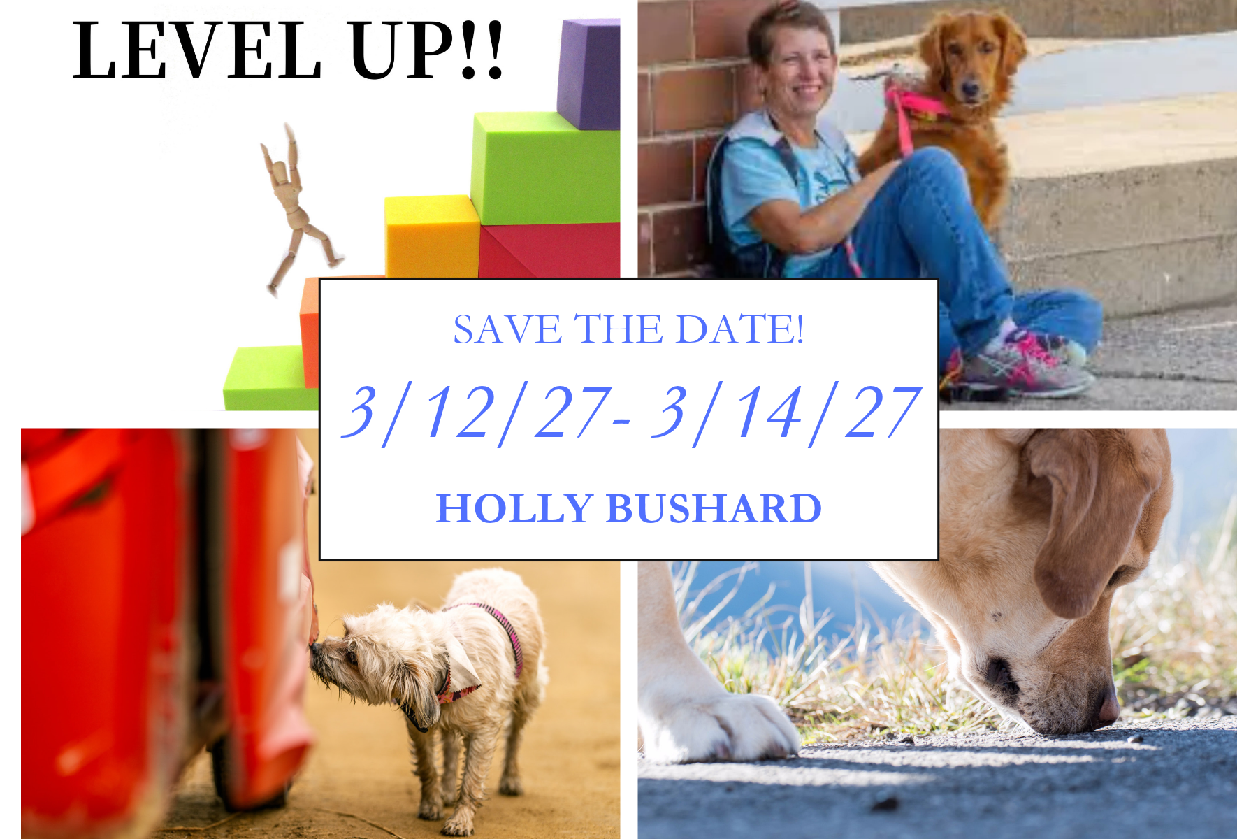 Holly Bushard Nose Work Workshops