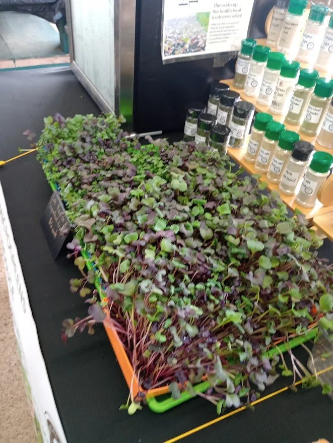 PFM - Mamas Microgreens.jpg