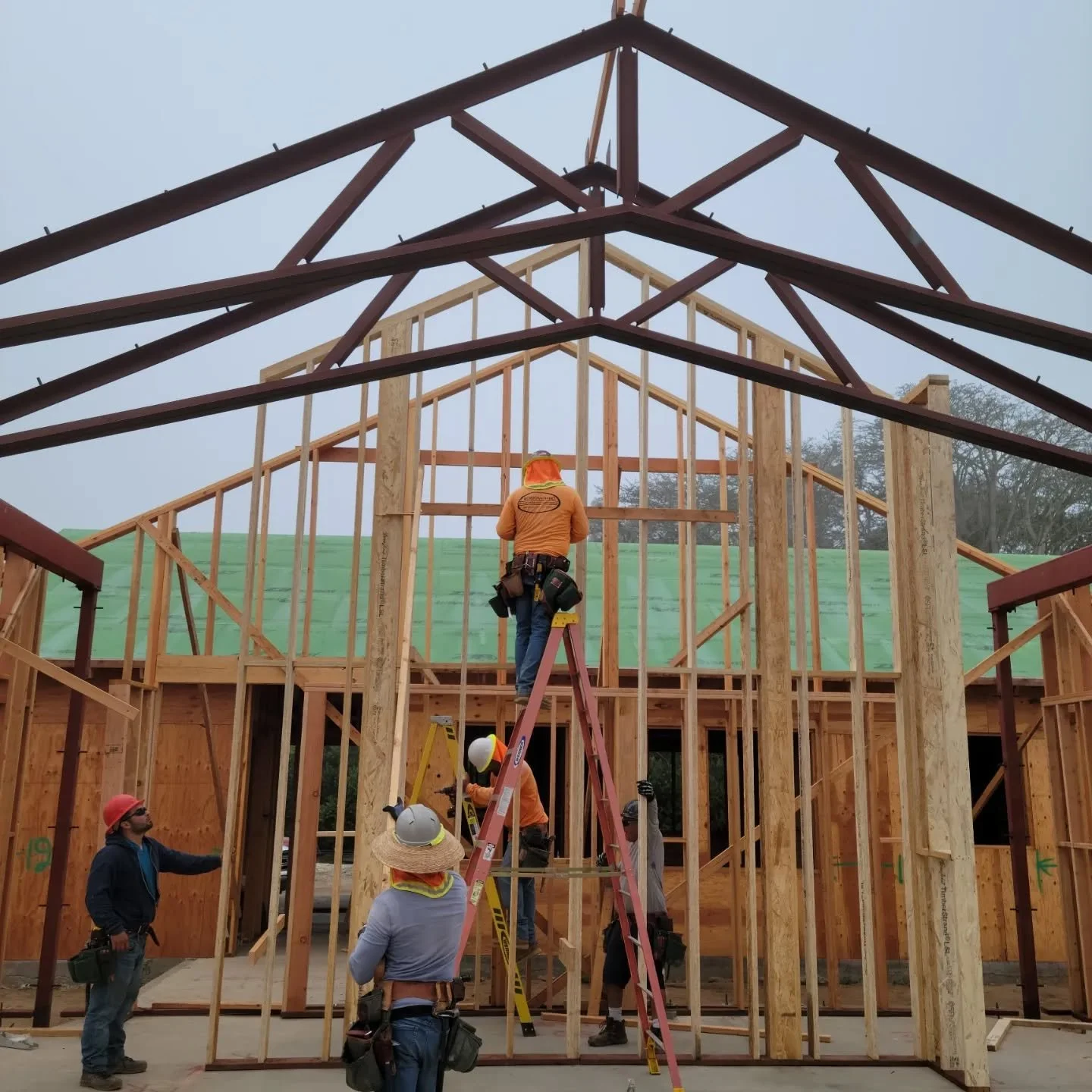 Foggy morning in Hope Ranch. 

Any guesses as to why there is green Zip System on our roof?