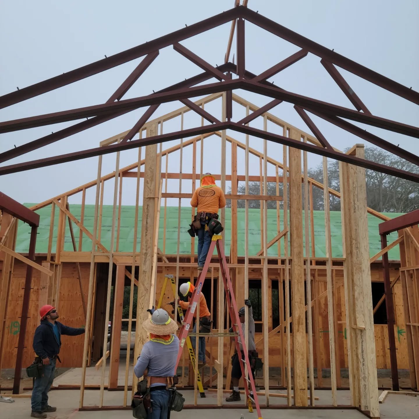 Foggy morning in Hope Ranch. 

Any guesses as to why there is green Zip System on our roof?